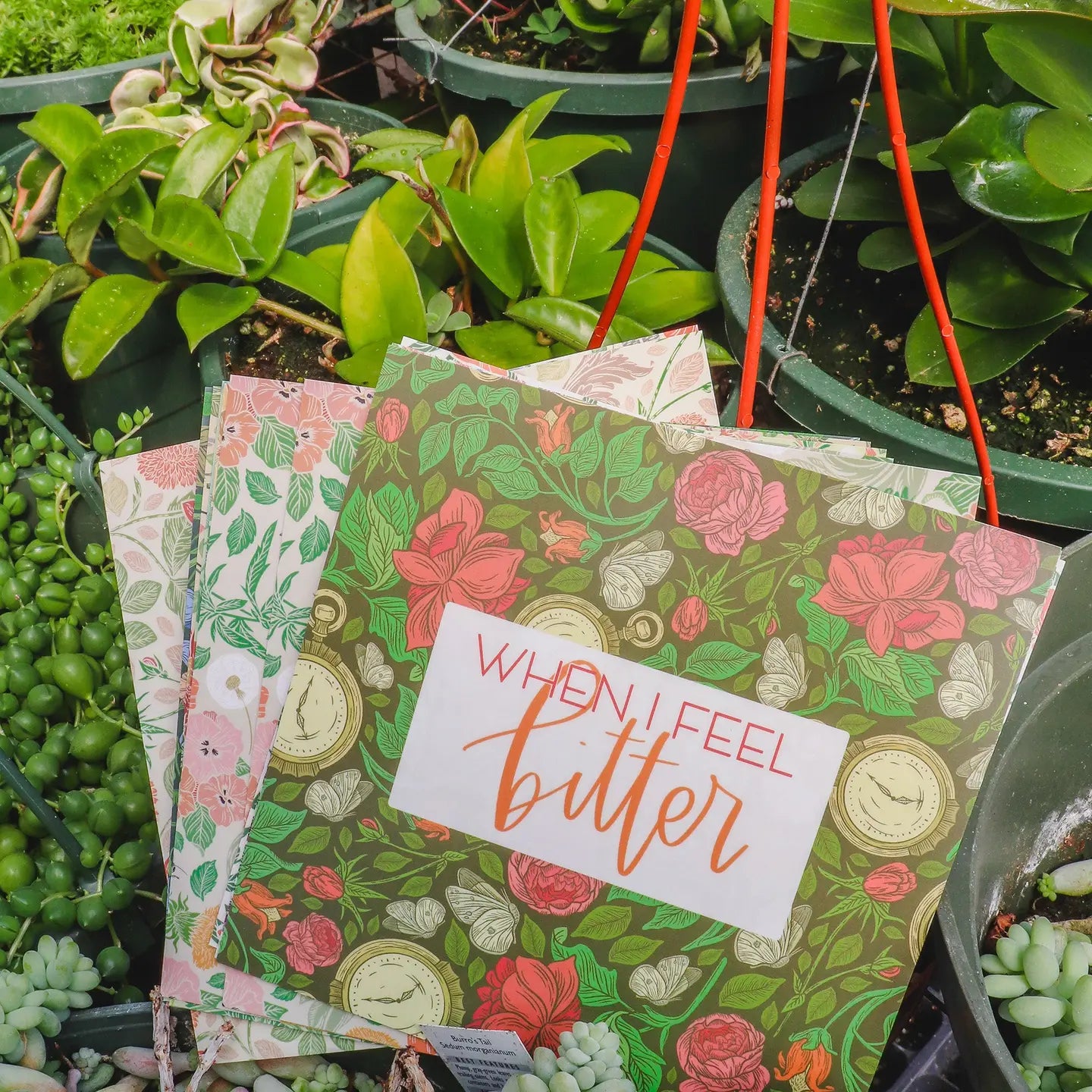 Everyday Encouragement Cards • For Women