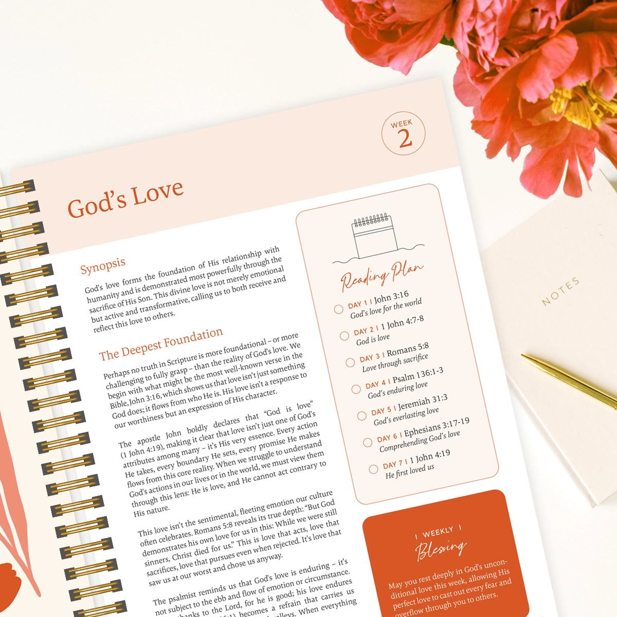 The Bible in A Year: A 52-Week Study - PREORDER