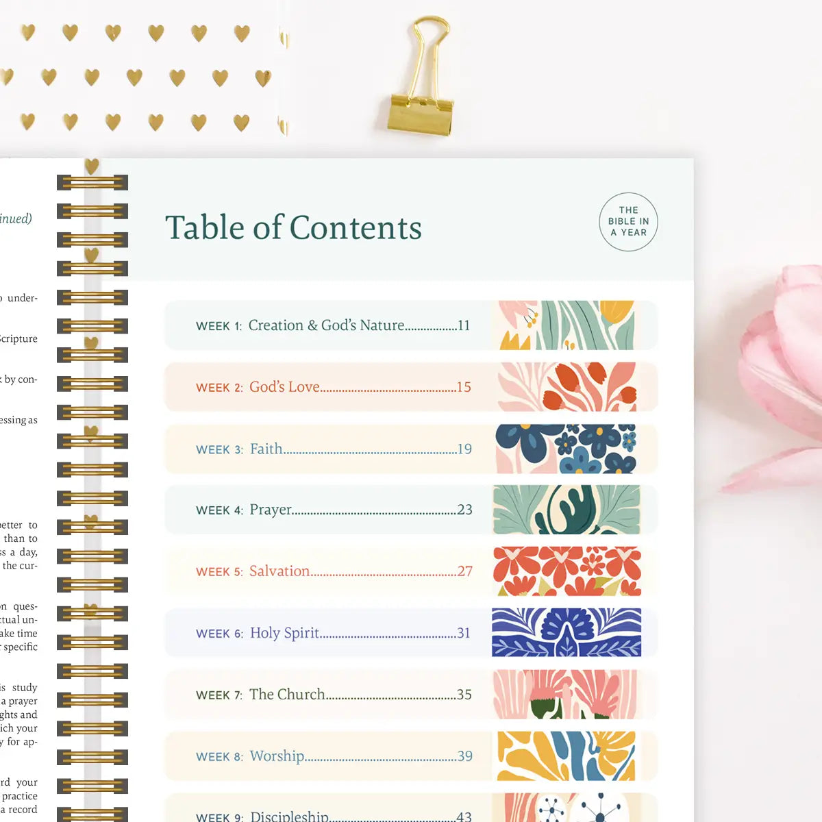 The Bible in A Year: A 52-Week Study - PREORDER