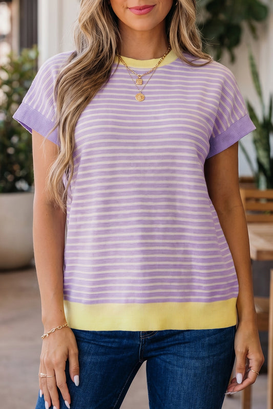 Purple Stripe Striped Colorblock Paneling Collar Cuff Hem Texture T-Shirt - PREORDER