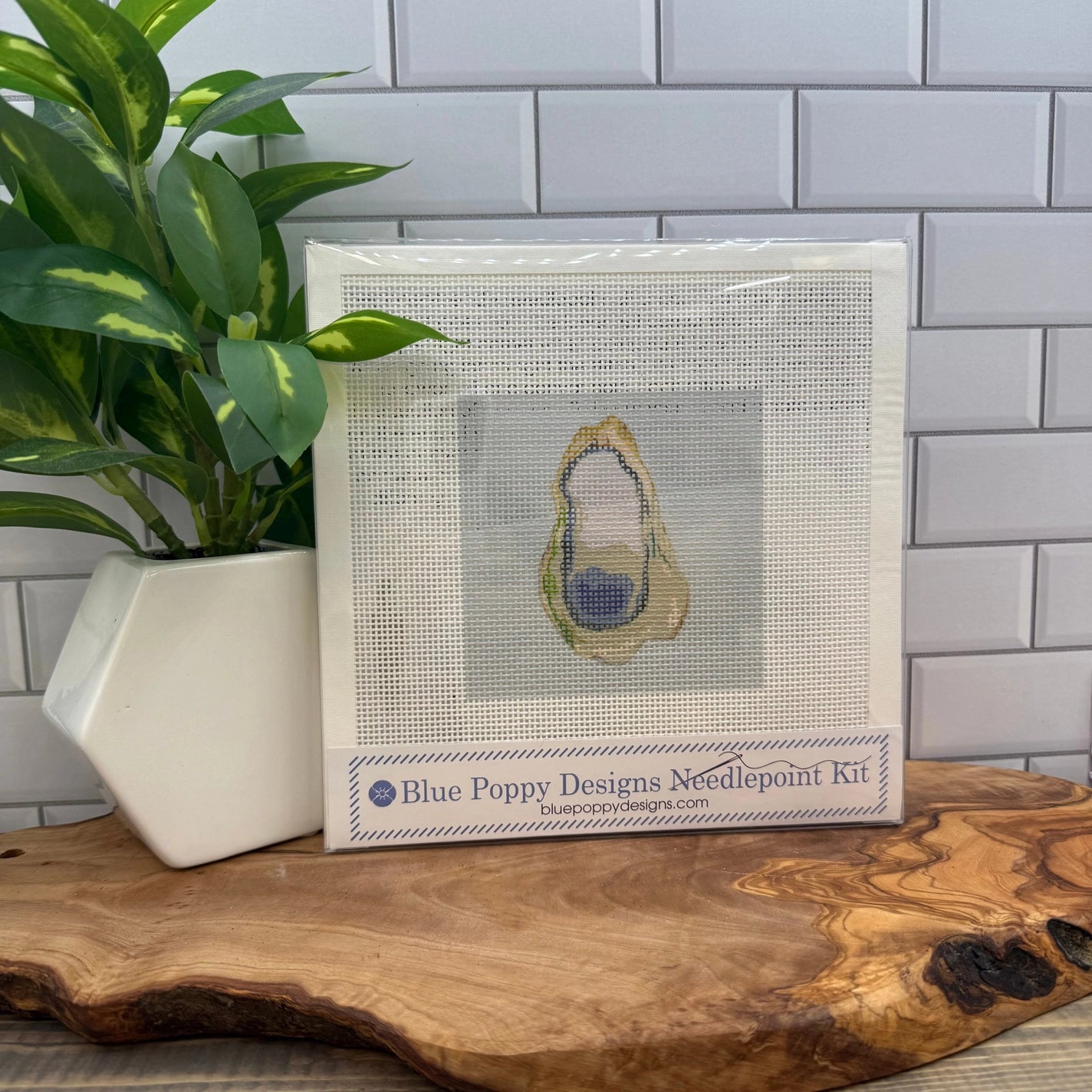 Oyster Needlepoint Kit - PREORDER