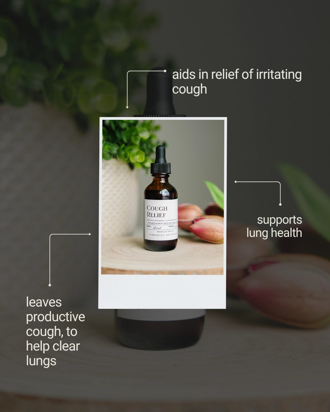 Cough Relief- Herbal Tincture