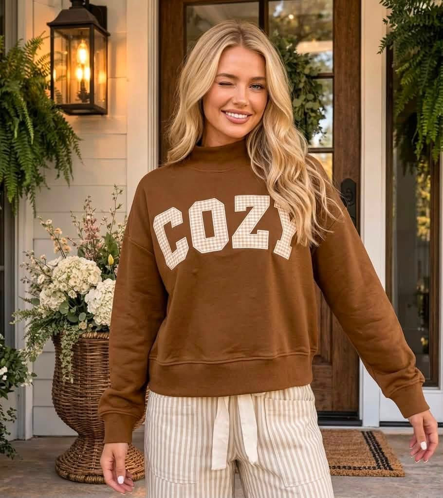 Chestnut Cozy Embroidered Long Sleeve Stand Neck Shift Pullover Sweatshirt - PREORDER