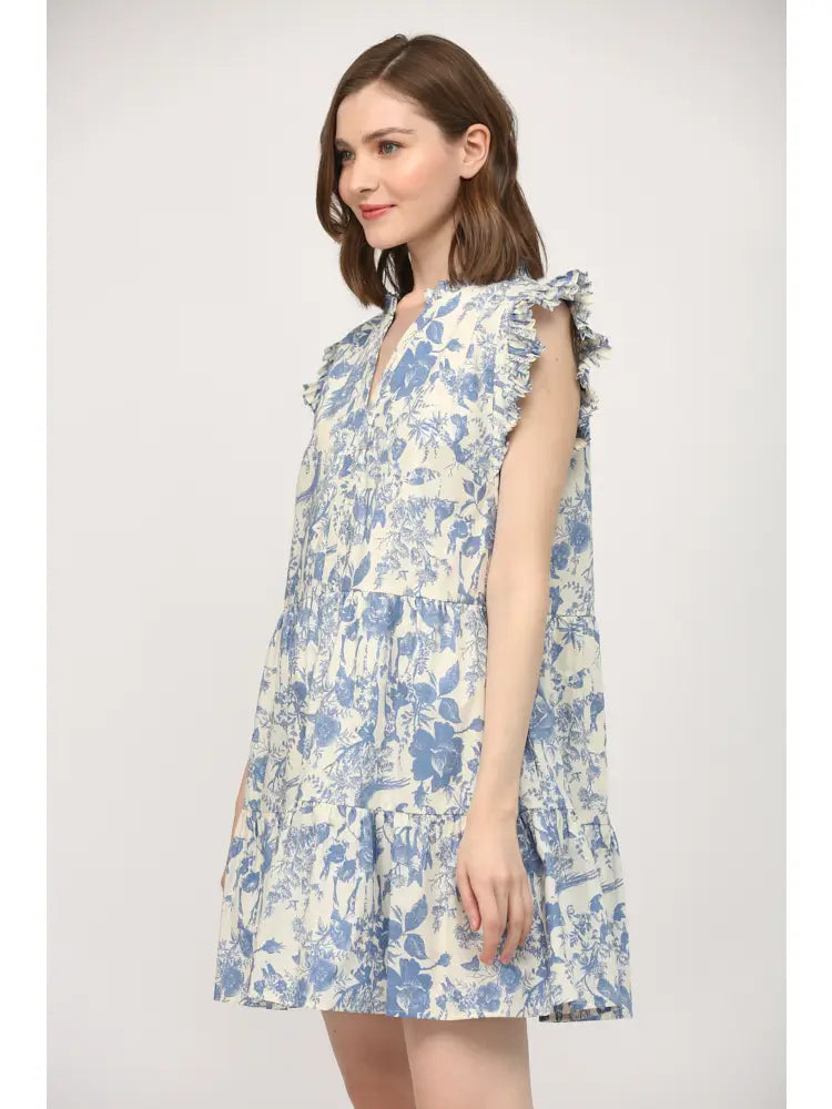 Toile Cotton Split Neck Dress